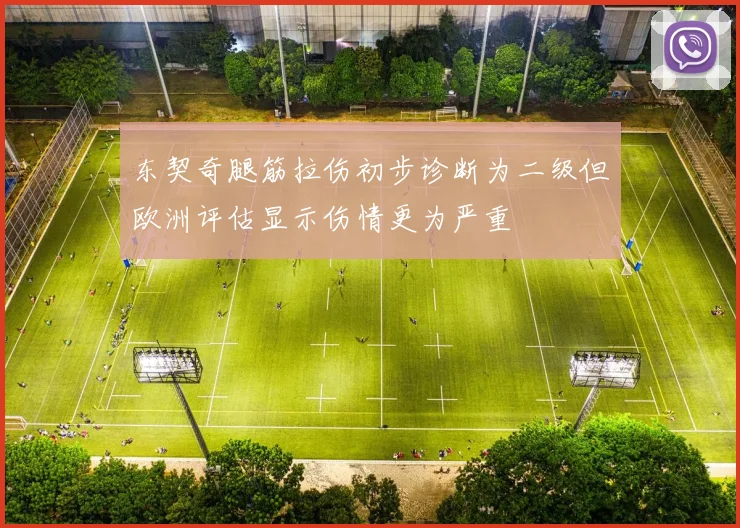 东契奇腿筋拉伤初步诊断为二级但欧洲评估显示伤情更为严重
