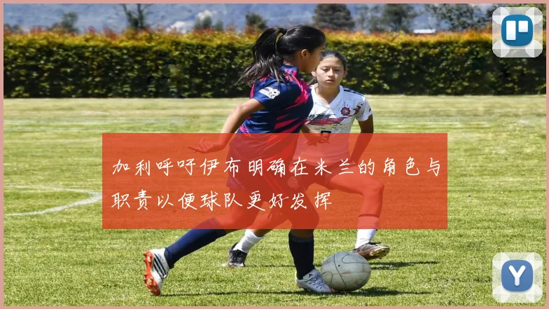 加利呼吁伊布明确在米兰的角色与职责以便球队更好发挥
